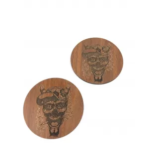 BARDAK ALTLIĞI MODEL -2