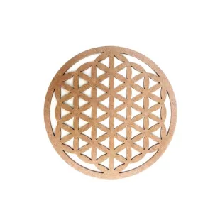 30cm Yaşam Çiçeği Kesim