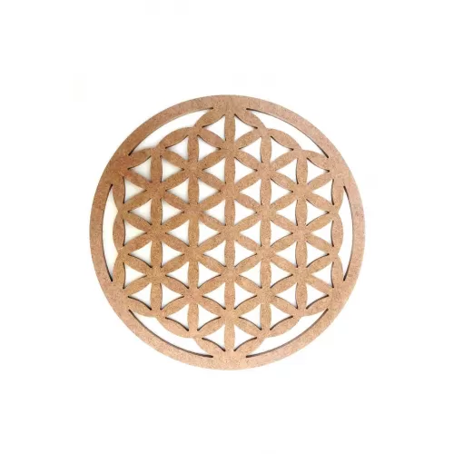 30cm Yaşam Çiçeği Kesim