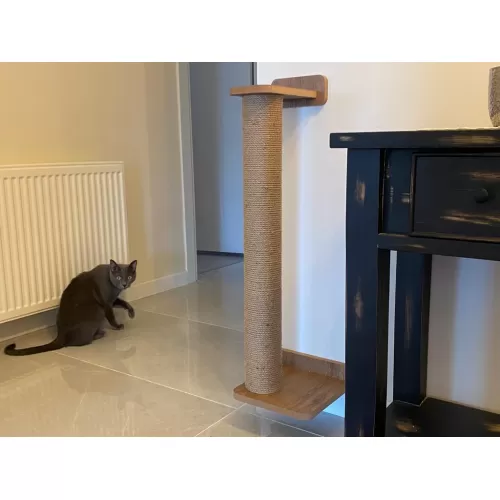 ALFA KEDİ TIRMALAMA